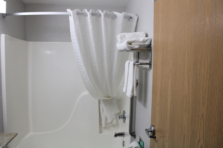 Bathroom 5, Microtel Inn & Suites by Wyndham Albertville, Marshall