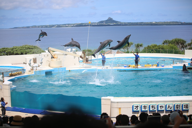Sport & Beauty 4, Little Island Okinawa Nago, Nago