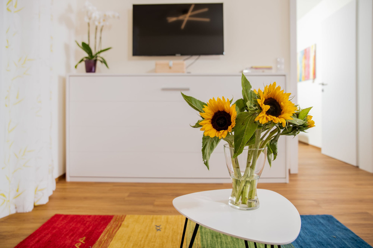 Others 5, City Appartements Dornbirn, Dornbirn