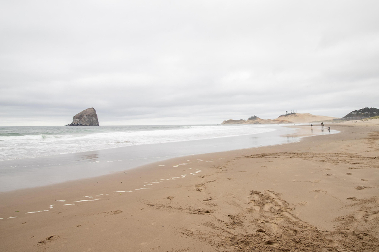 Others 5, Seahorse, Tillamook