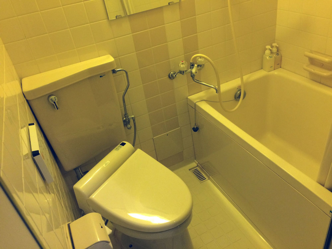 Bathroom 5, Awaji International Hotel The Sunplaza, Sumoto