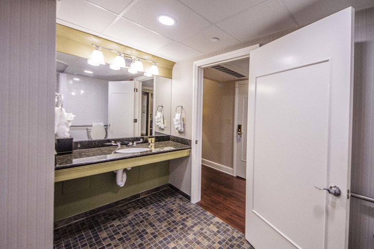 Bathroom 5, Hotel St. Marie, Orleans