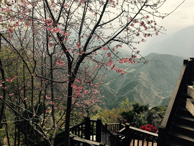Others 5, Spring Ground B&B, Nantou