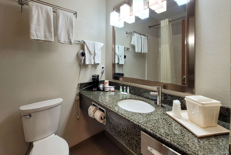 Bathroom 4, Quality Inn & Suites Marion, Williamson