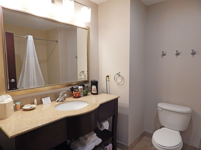 Bathroom 5, Ramada by Wyndham Burkburnett / Wichita Falls, Wichita