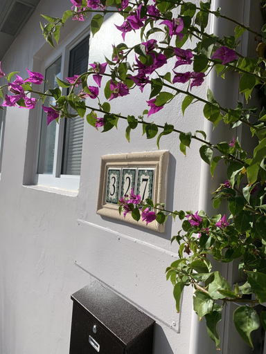 Exterior & Views 2, Tiana Beach Hotel, Broward