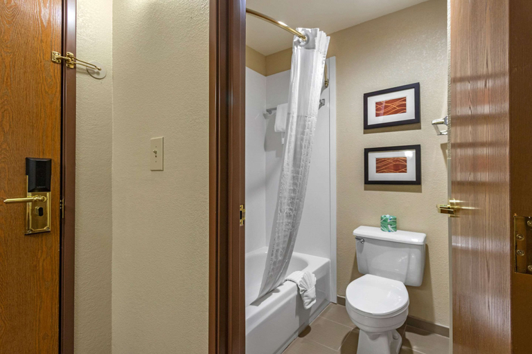 Bathroom 4, Comfort Inn & Suites Springfield I-44, Greene