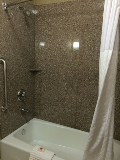 Bathroom 4, Comfort Suites Wenatchee Leavenworth, Chelan
