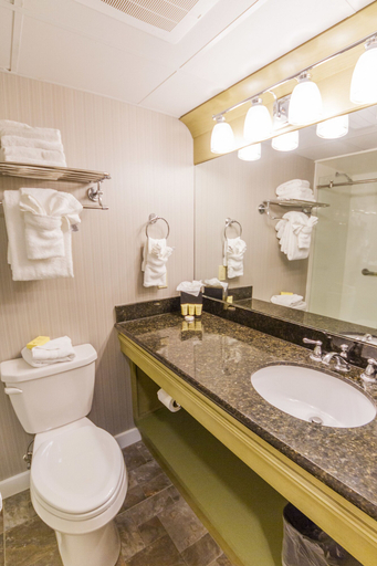 Bathroom 5, Hotel St. Marie, Orleans