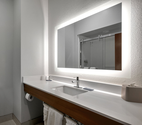 Bathroom 4, Holiday Inn Express & Suites LUFKIN SOUTH, Angelina