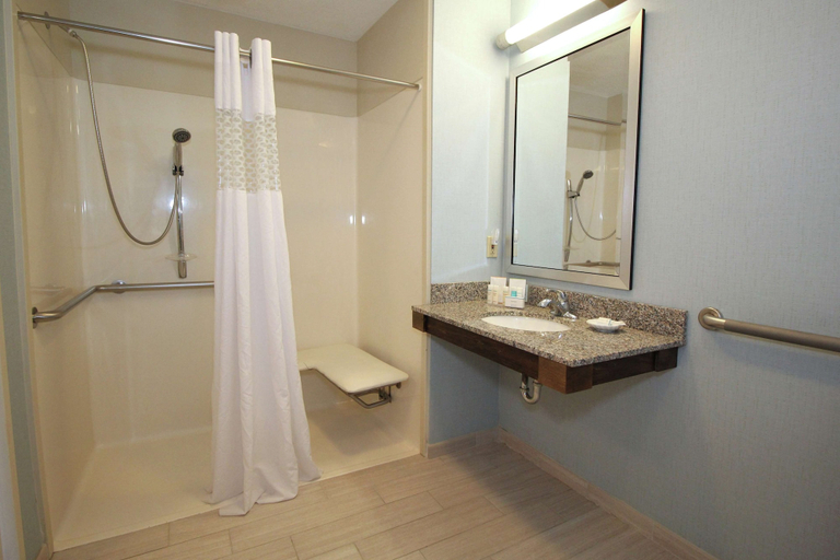 Bathroom 4, Hampton Inn Sandusky-Central, Erie