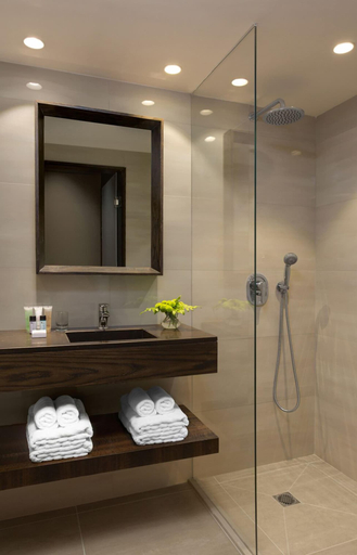 Bathroom 5, Golden Crown Haifa