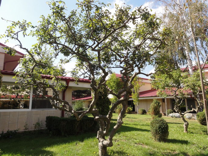 Exterior & Views 2, Vox Maris Grand Resort - Adults only, Costinesti