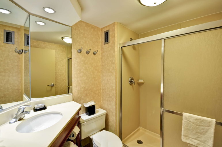 Bathroom 4, Hampton Inn Memphis-Poplar, Shelby