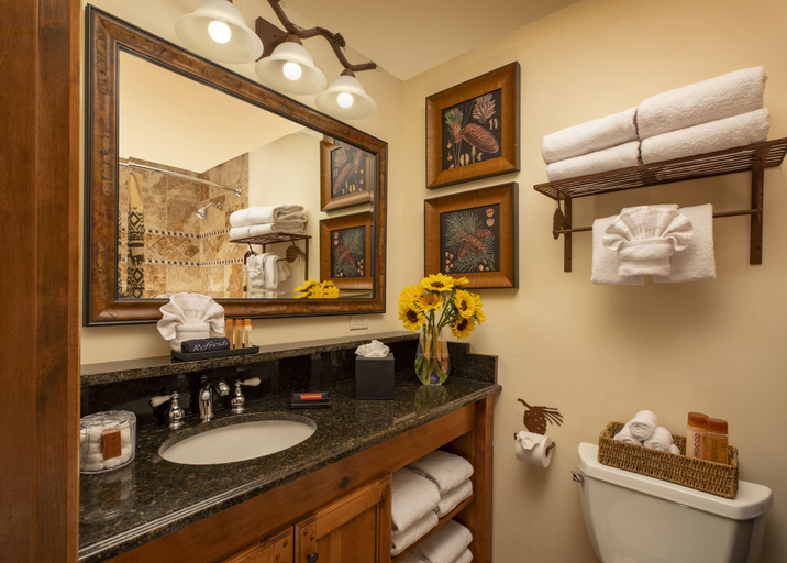 Bathroom 5, Parkway Inn of Jackson Hole, Teton
