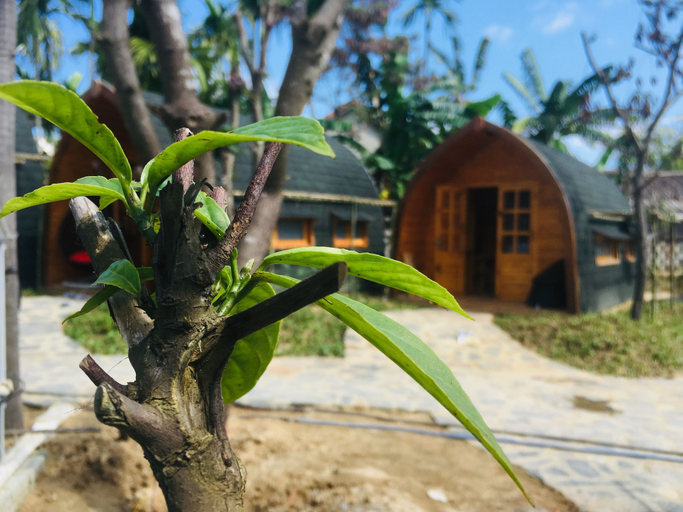 Exterior & Views 2, CoCo Farm Hoi An, Da Nang