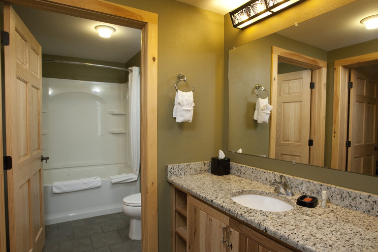 Bathroom 3, Hope Lake Lodge & Indoor Waterpark, Cortland