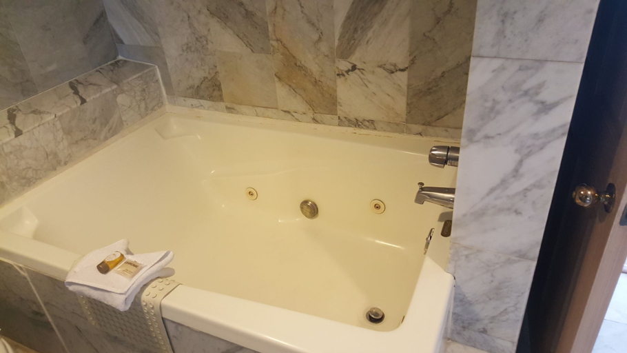 Bathroom 5, Hotel Palacio Azteca Tijuana, Trademark by Wyndham, Tijuana