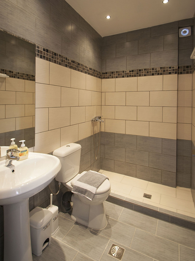 Bathroom 3, Pension Pineapple, Thessaly