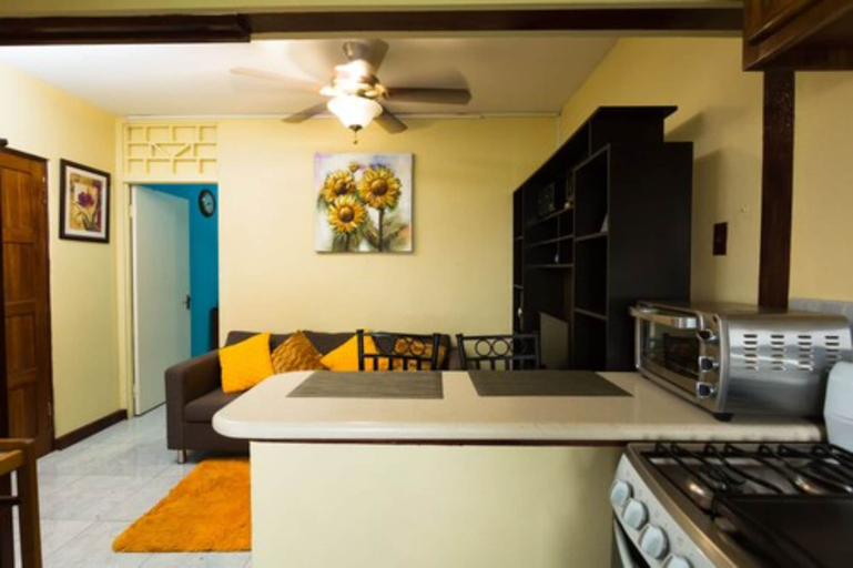 Others 5, New Kingston Most Central Guest Apt