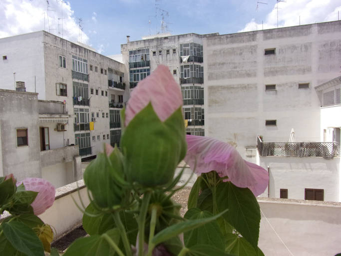 Exterior & Views 2, La Fontanella, Lecce