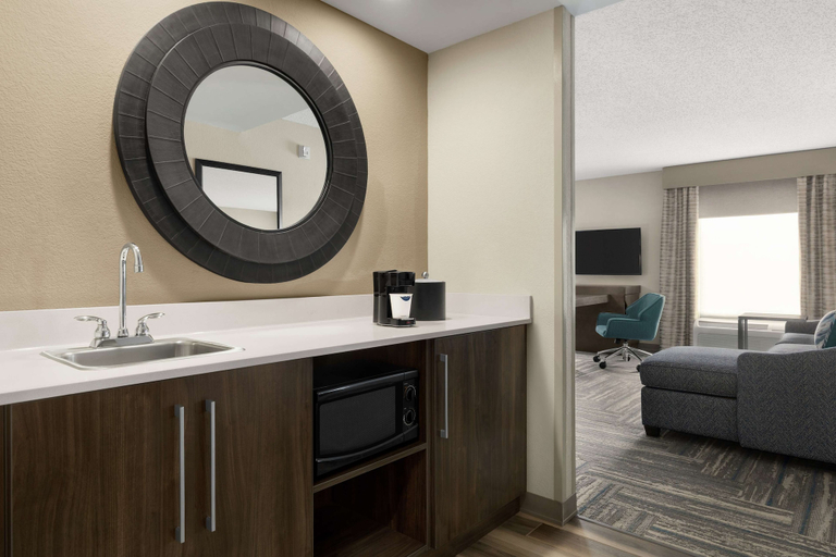 Bathroom 4, Hampton Inn & Suites Salisbury/Fruitland, Wicomico
