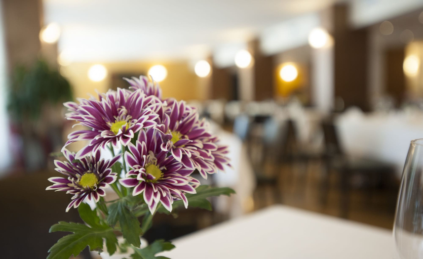 Food & Drinks 5, Hotel Calissano, Cuneo