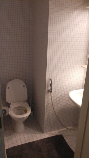 Bathroom 4, Kotimaailma Apartments Naantali, Finland Proper