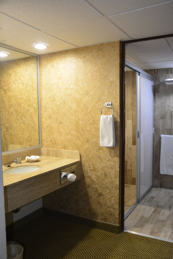 Bathroom 4, Best Western Posada Del Rio, Torreón