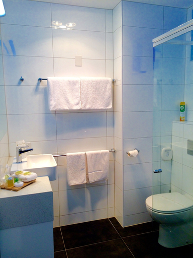 Bathroom 5, Parkview Motor Inn, Wangaratta - Central