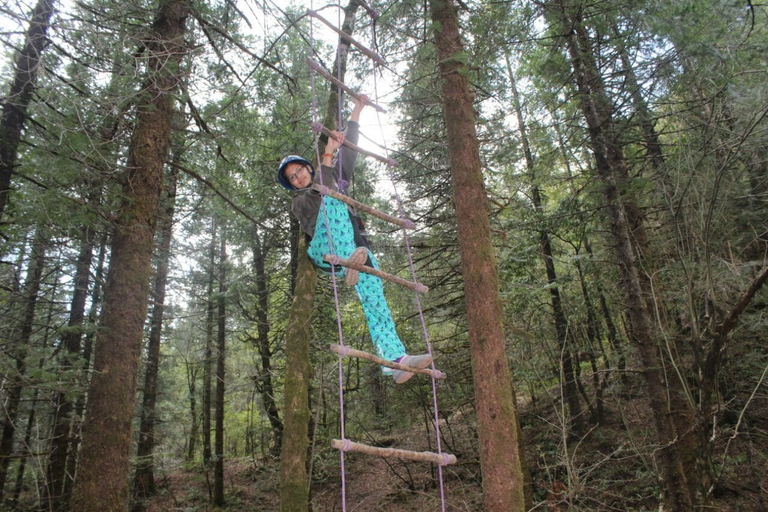 Others 4, Camp Sunkiya, Nainital