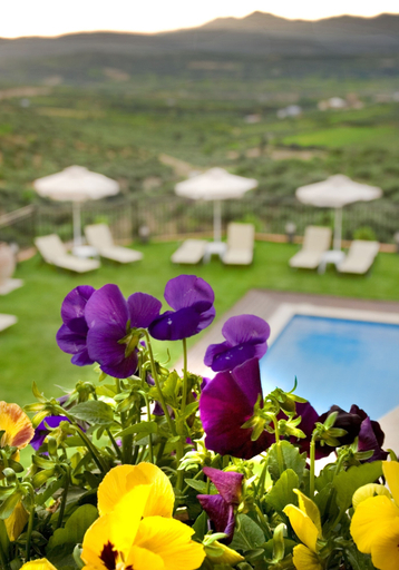 Sport & Beauty 4, Katalagari Country Suites, Crete