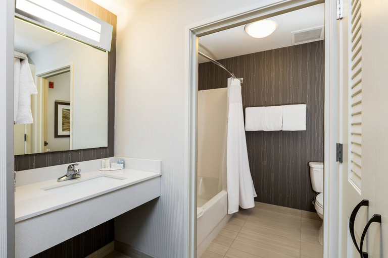 Bathroom 4, Courtyard Dallas Mesquite, Dallas