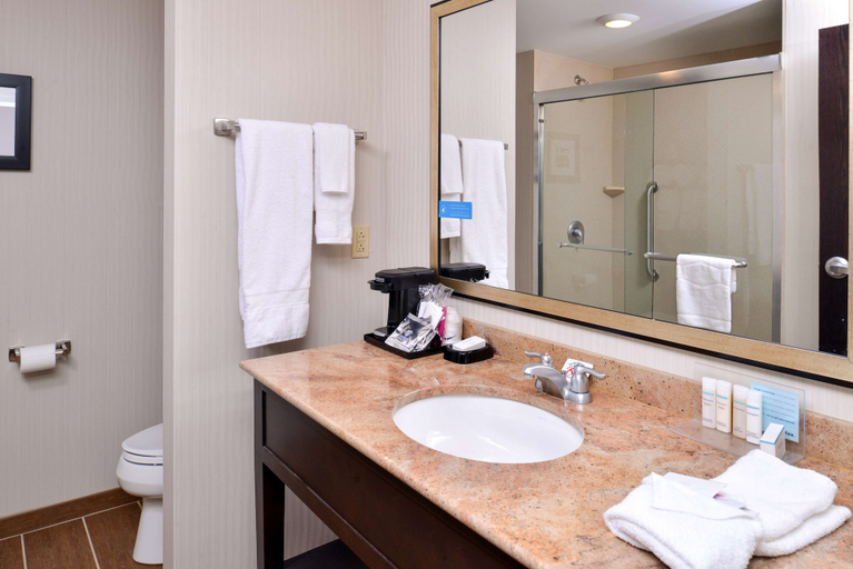 Bathroom 4, Hampton Inn & Suites California University-Pittsburgh, Washington