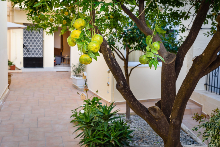 Exterior & Views 2, Heart of Old Town Cozy Home - Yard & Parking, Crete