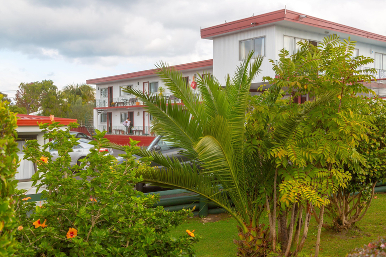 Others 5, New Haven Motel, Waitakere