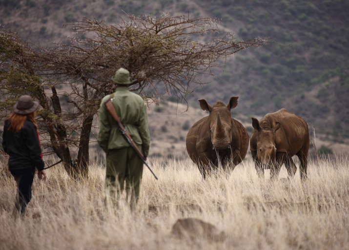 Others 5, Elewana Lewa Safari Camp, Buuri