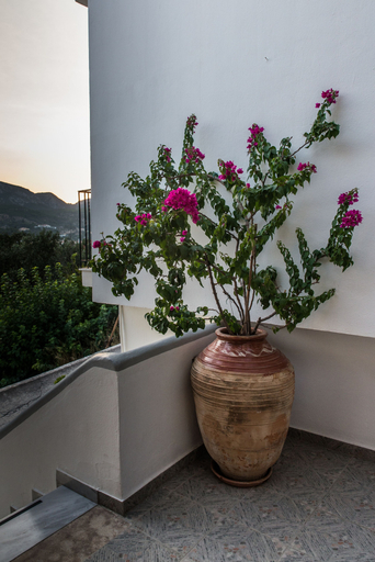 Others 4, Villa Maria, North Aegean