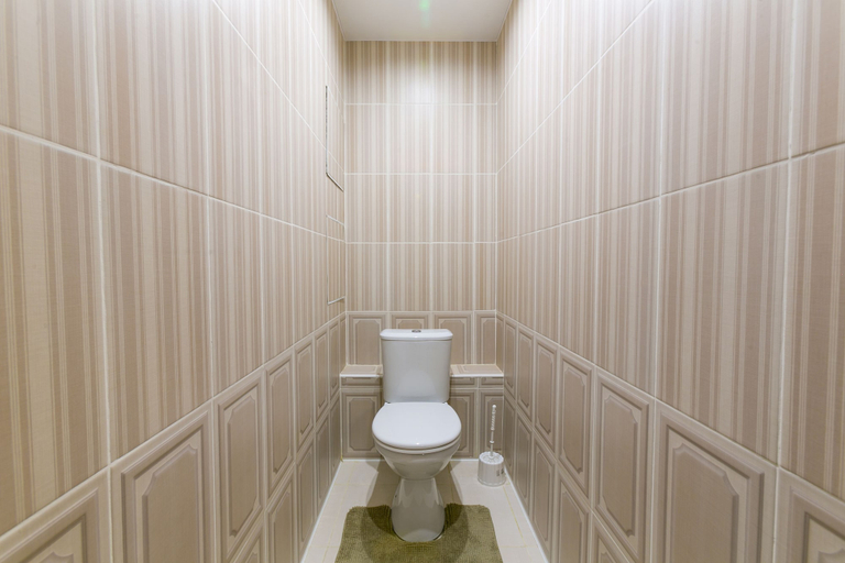 Bathroom 3, Dobriye Sutki - Elektromontazhnyy 11, Podol'sk