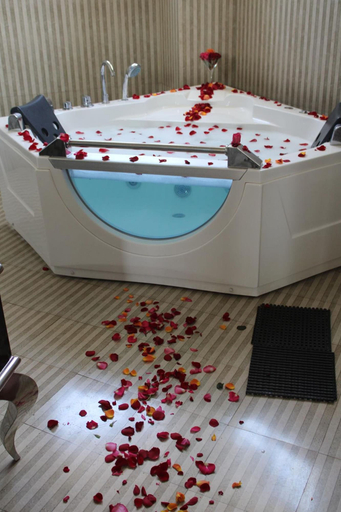 Bathroom 4, Unison Hotel and Spa, Mirab Gojjam