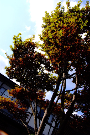 Exterior & Views 2, Onishiya Suishoen, Toyooka