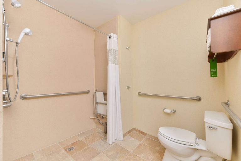 Bathroom 4, Hampton Inn Ottumwa, Wapello