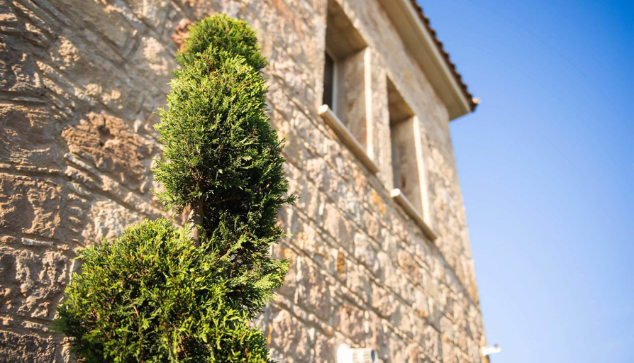 Exterior & Views, Villa Jaimi