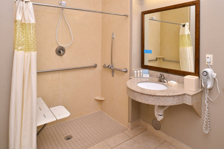 Bathroom 4, Hampton Inn Van Horn, Culberson