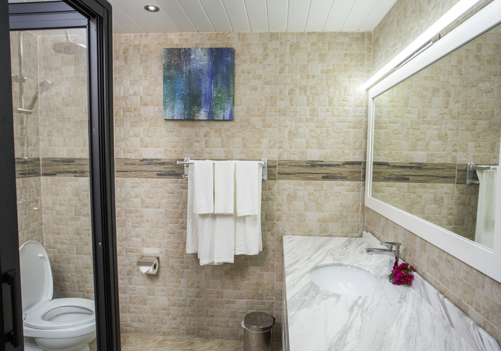 Bathroom 4, Résidence Potosi