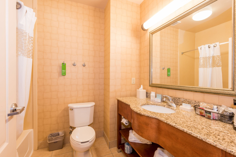 Bathroom 4, Hampton Inn Enterprise, Coffee