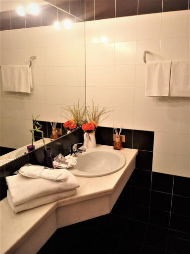 Bathroom 5, Hotel Dozza, Bologna