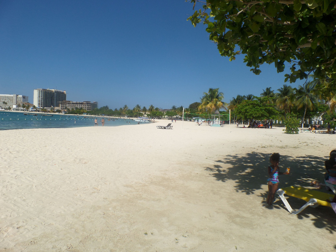 Others 4, Surf Turf at Turtle Tower
