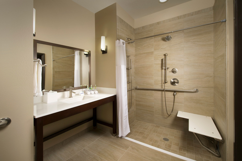 Bathroom 5, Holiday Inn Express & Suites WACO SOUTH by IHG, McLennan