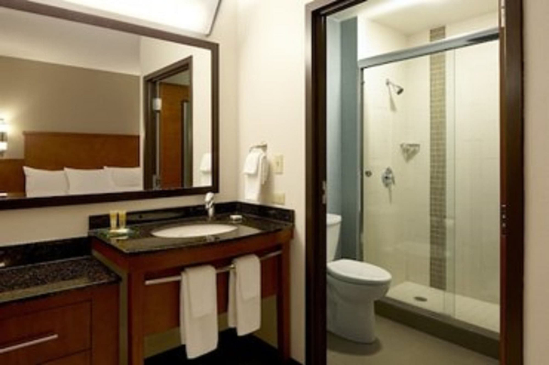 Bathroom 5, Hyatt Place Corpus Christi, Nueces